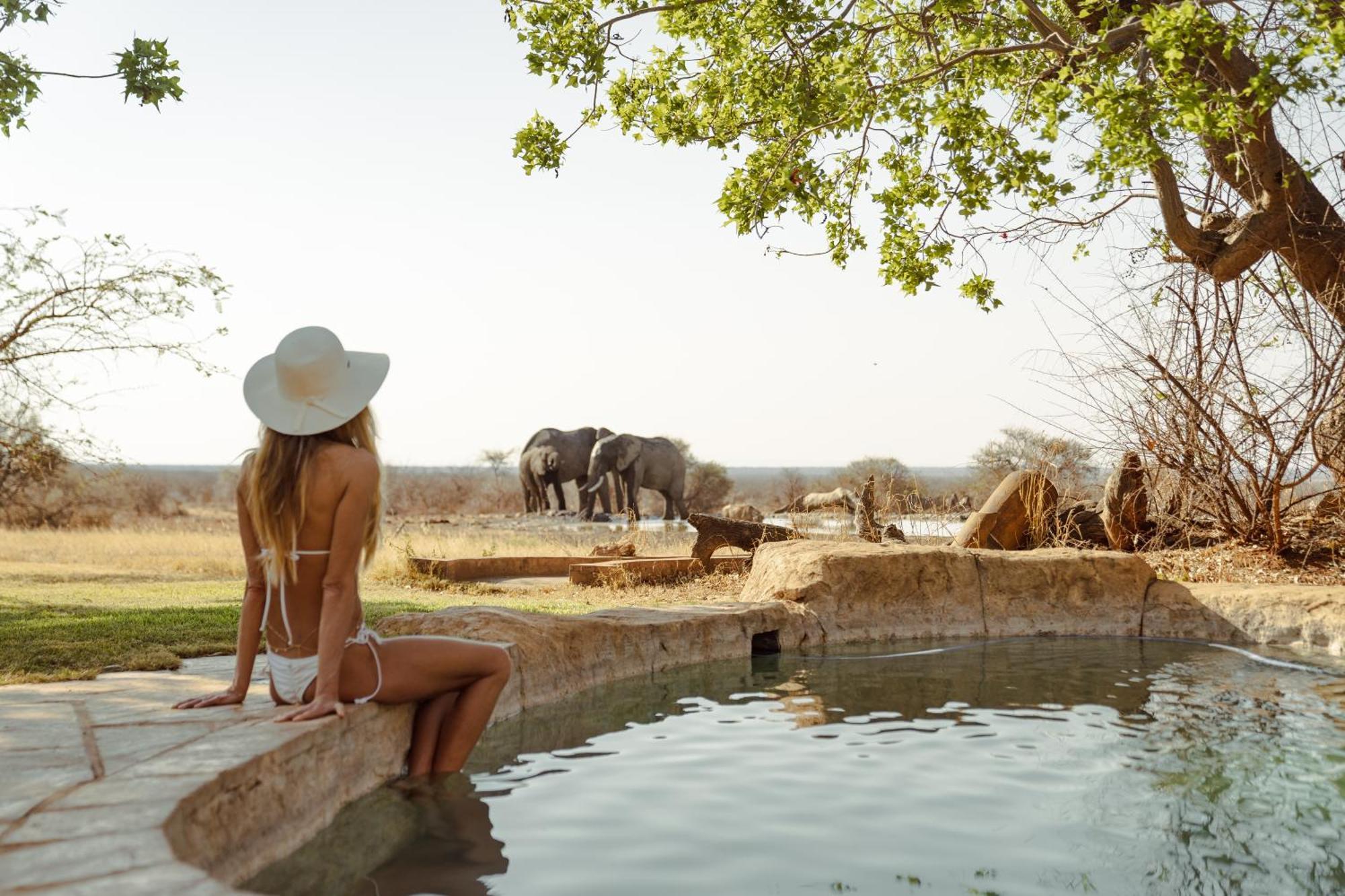 Last Word Madikwe Madikwe Vadrezervátum Kültér fotó