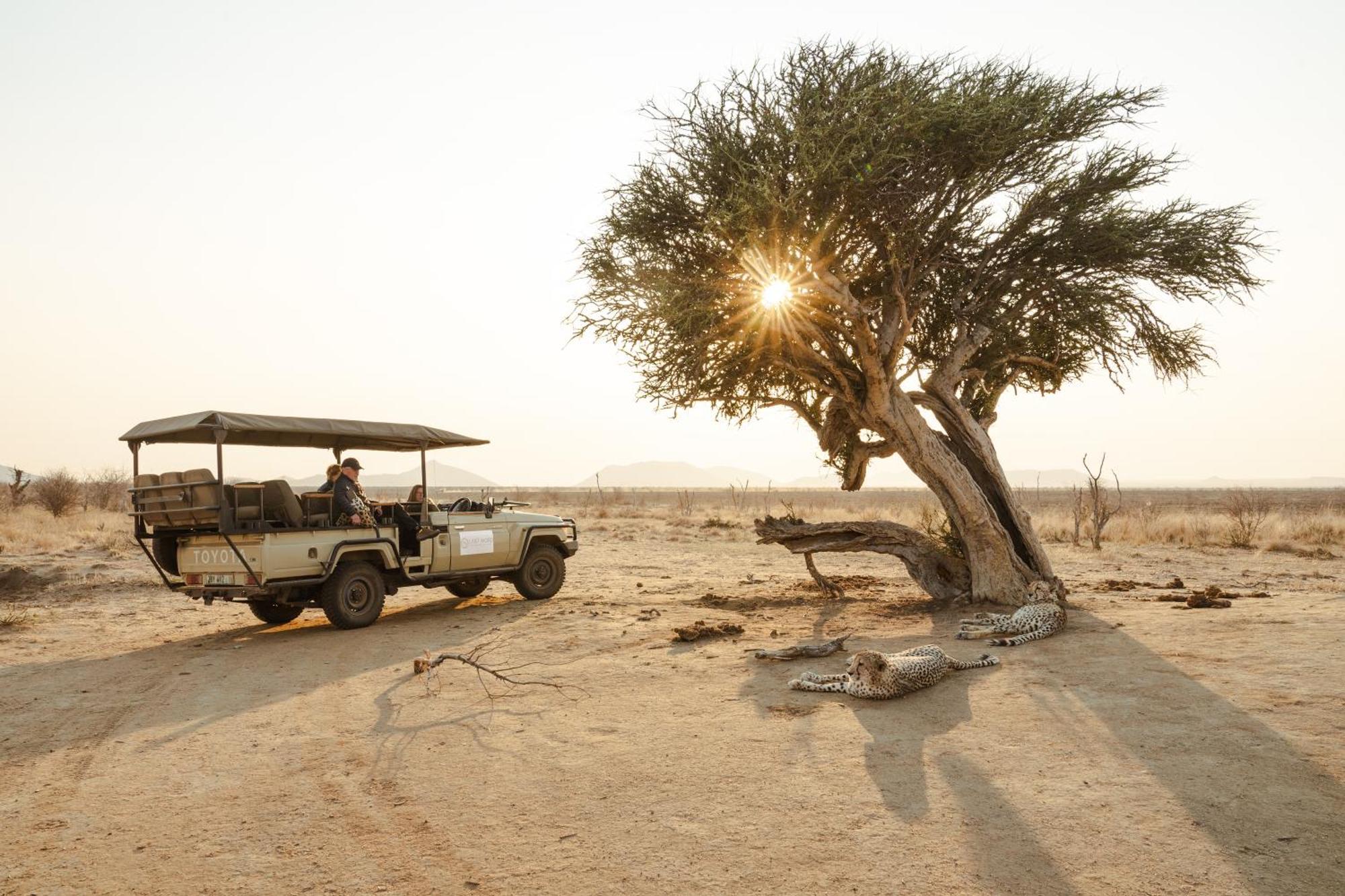 Last Word Madikwe Madikwe Vadrezervátum Kültér fotó