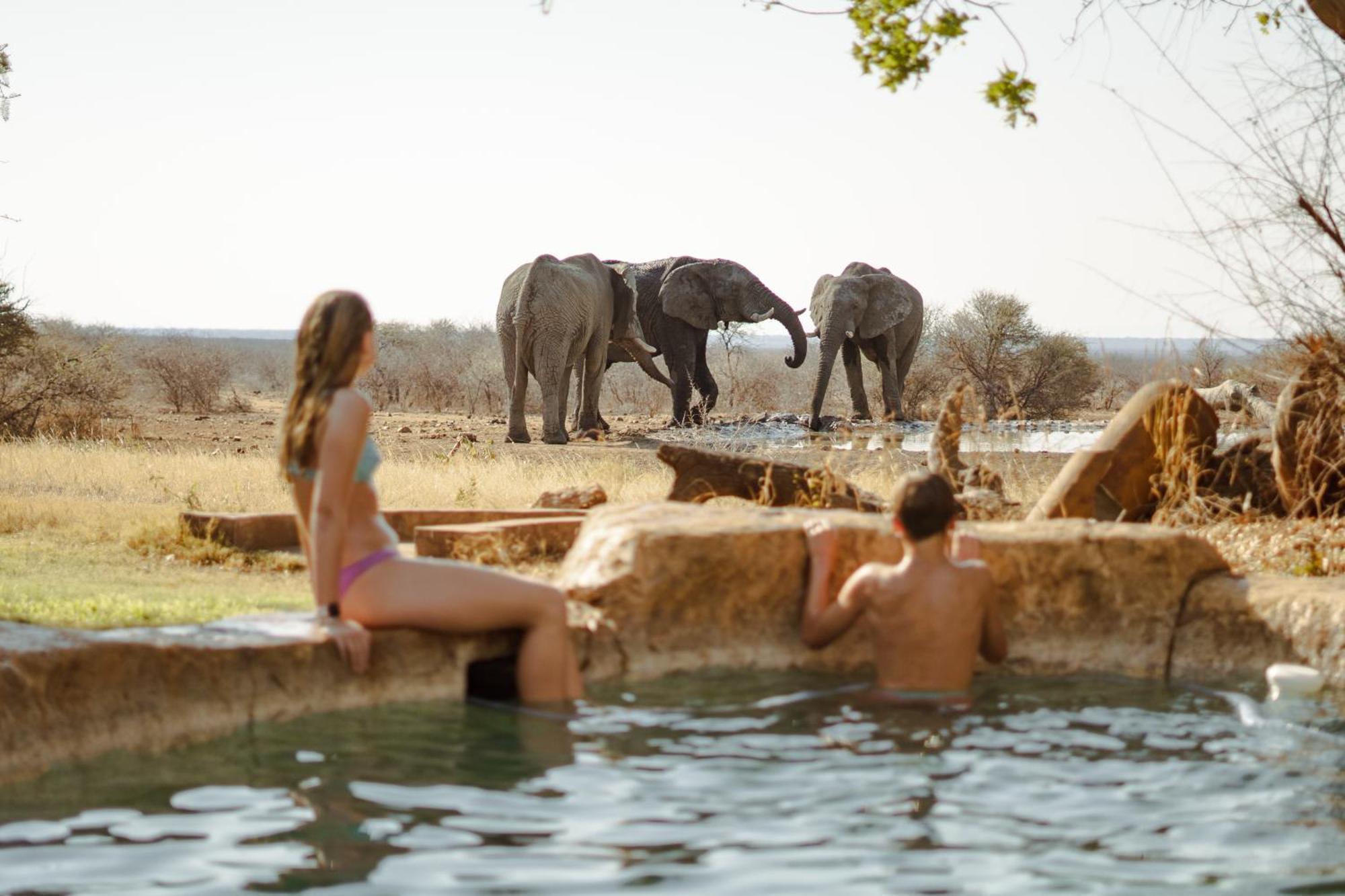 Last Word Madikwe Madikwe Vadrezervátum Kültér fotó