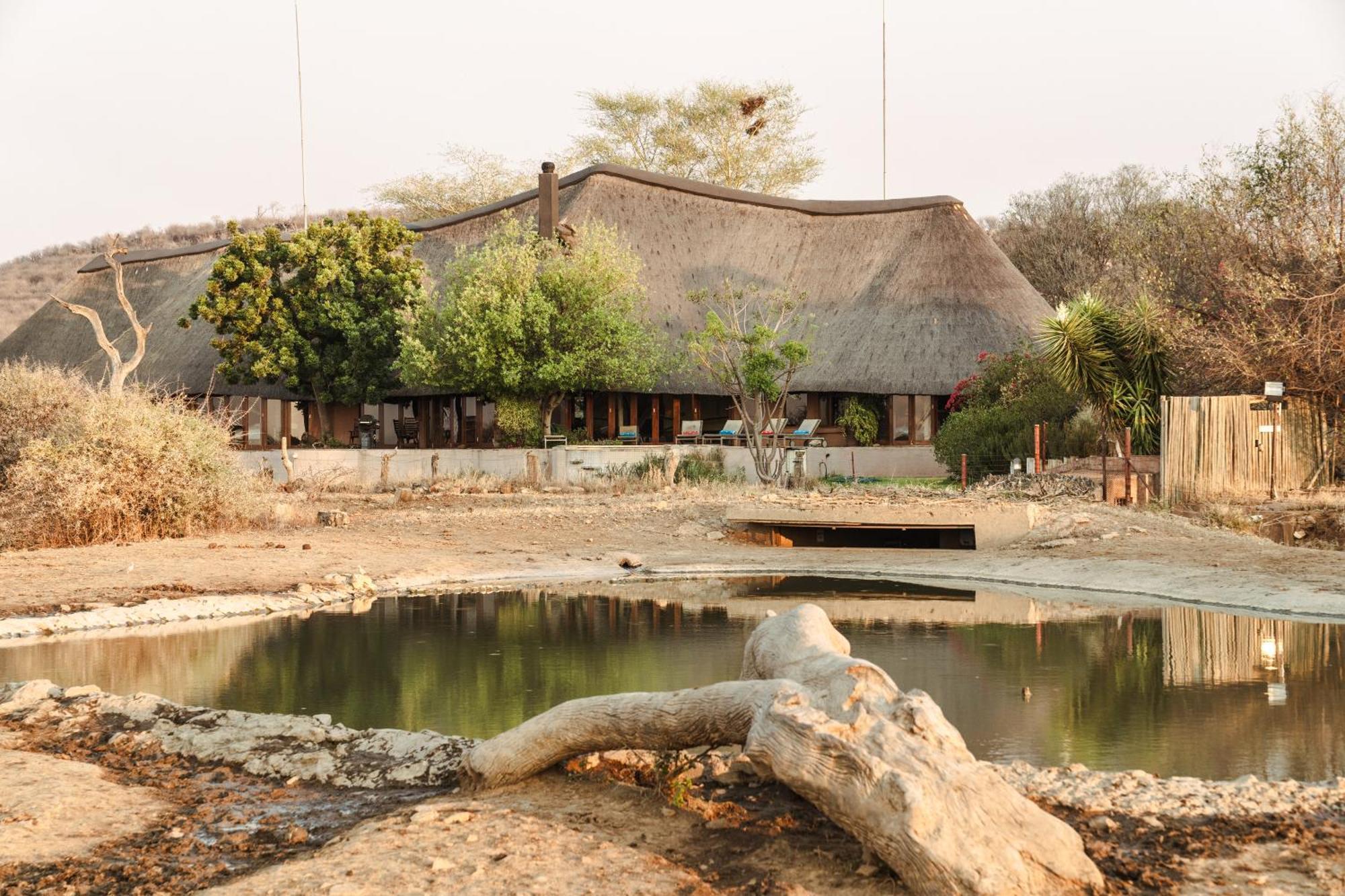 Last Word Madikwe Madikwe Vadrezervátum Kültér fotó
